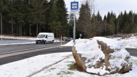 maliník DSC 9453